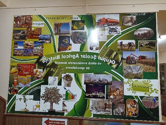 warsztaty dla nauczycieli oraz lekcja pokazowa w Liceul Technologic Agricol Bistrita